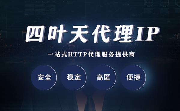 【丽水代理IP】代理ip客户端使用教程